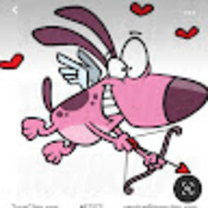 Meet your Posher, Jane